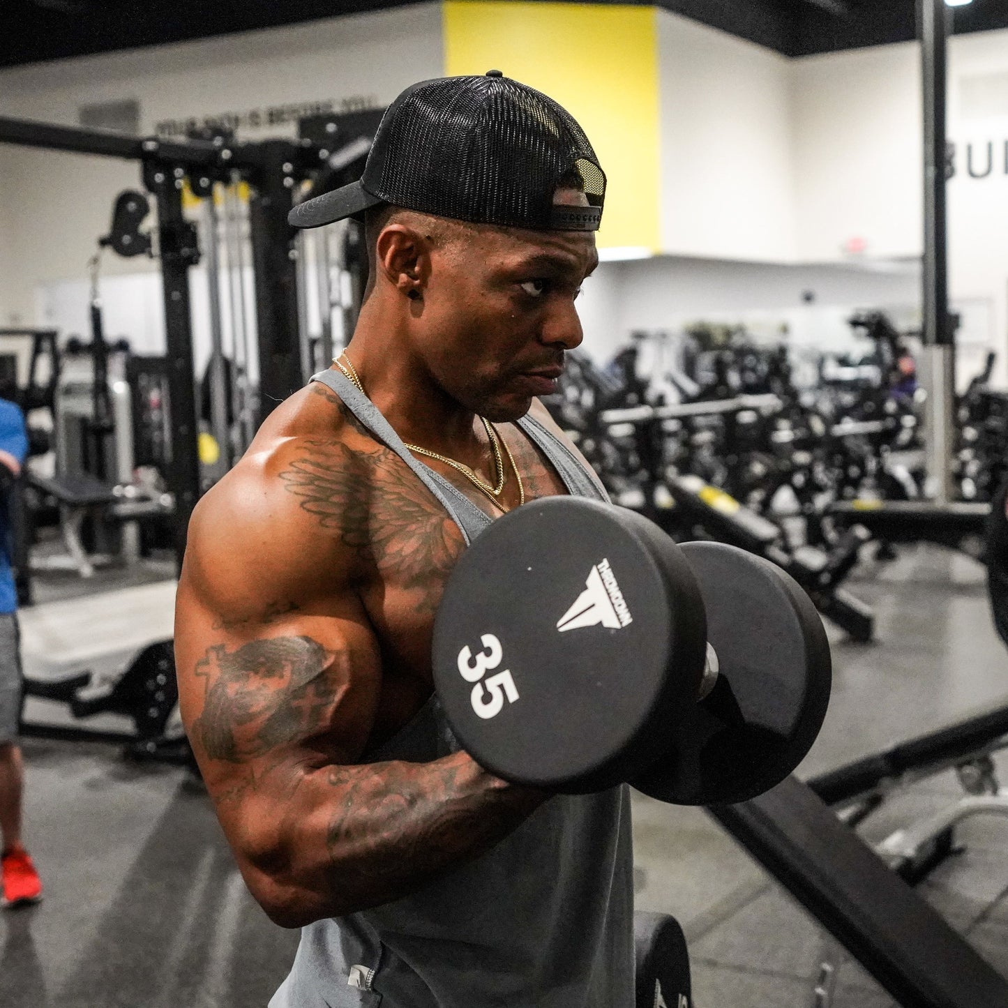 6 Months To Shredz