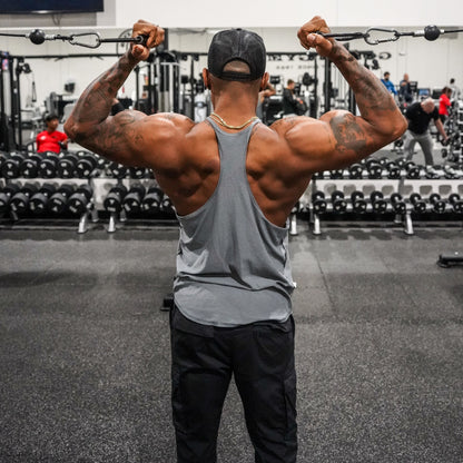 6 Months To Shredz